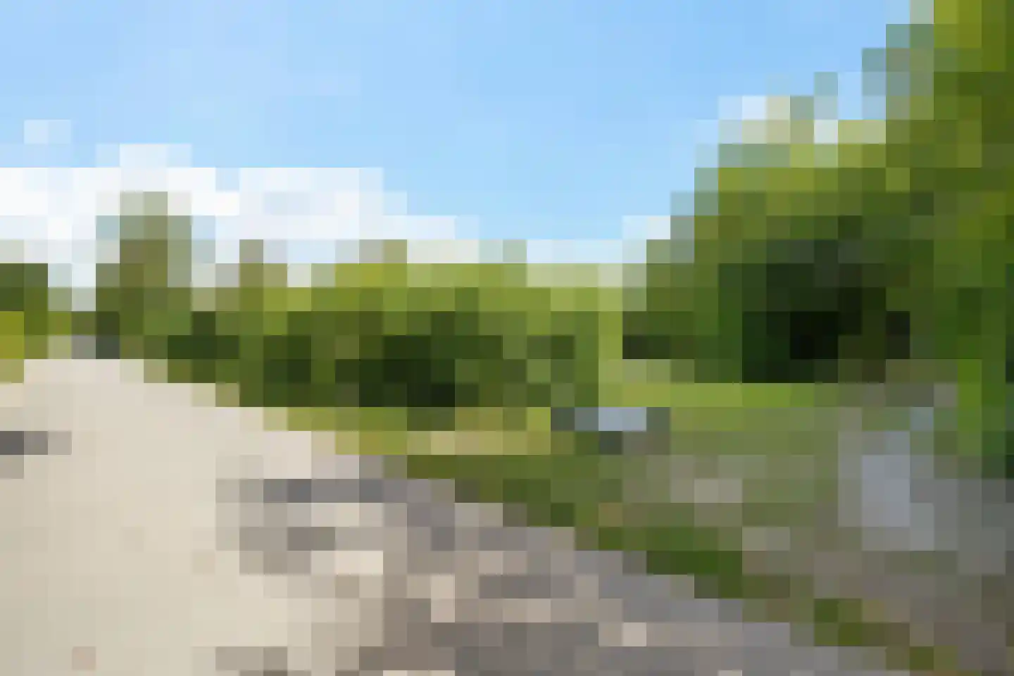 Rijspolder 57 Schiermonnikoog thumbnail 8