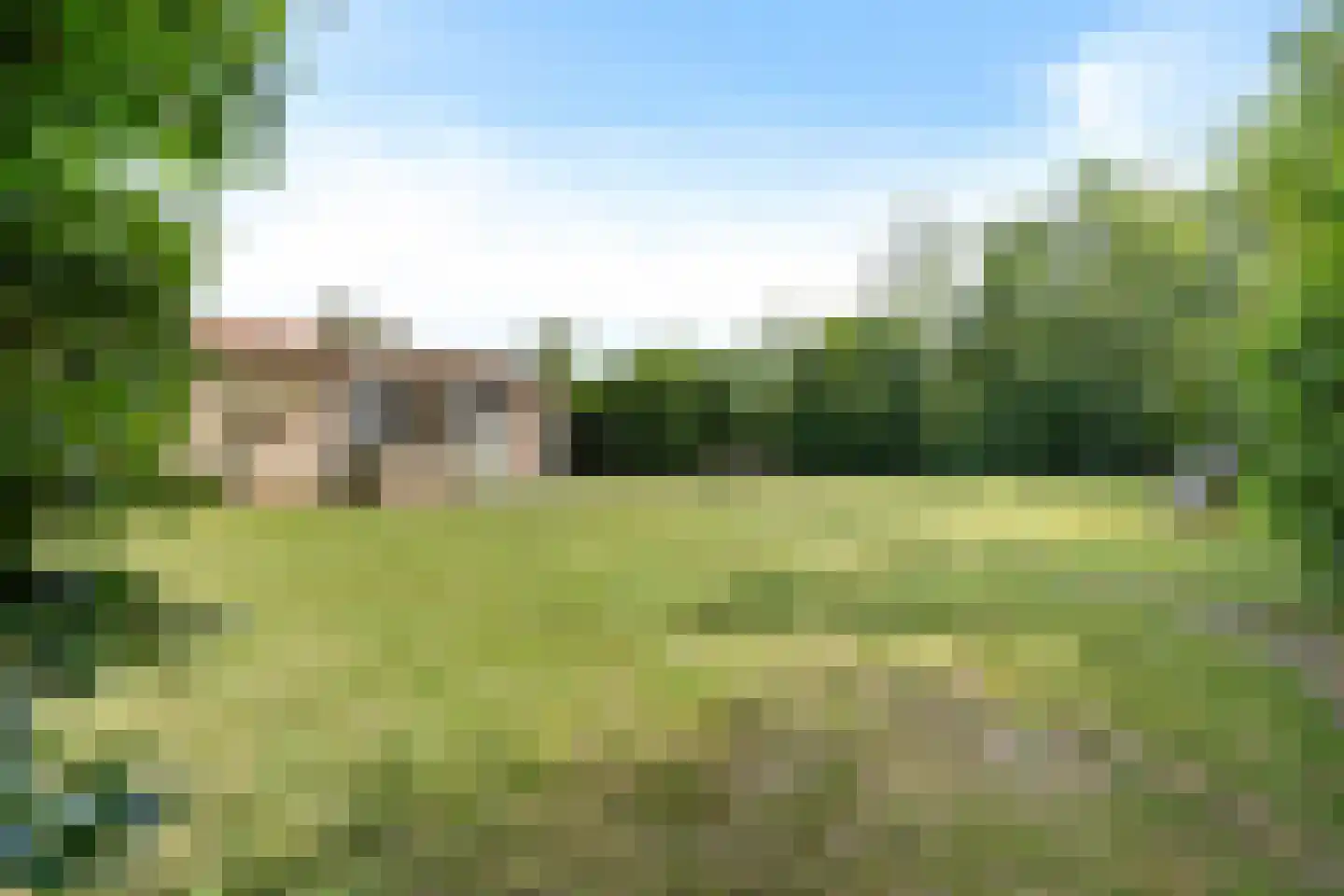 Rijspolder 57 Schiermonnikoog thumbnail 9