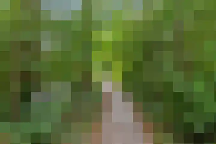 Rijspolder 60 Schiermonnikoog thumbnail 16