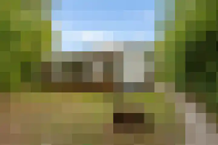 Rijspolder 60 Schiermonnikoog thumbnail 18