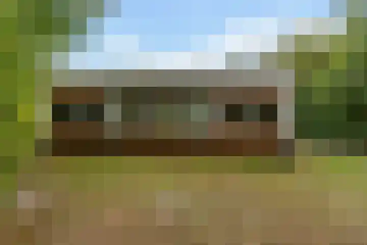 Rijspolder 60 Schiermonnikoog foto 2