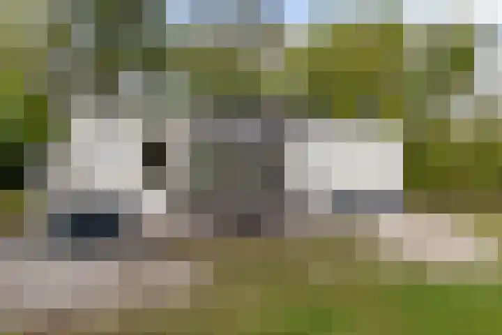Rijspolder 60 Schiermonnikoog thumbnail 21