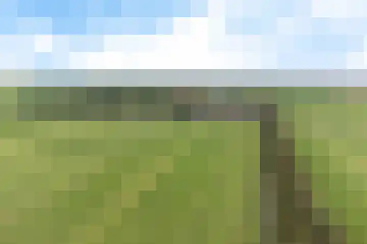 Rijspolder 60 Schiermonnikoog thumbnail 22