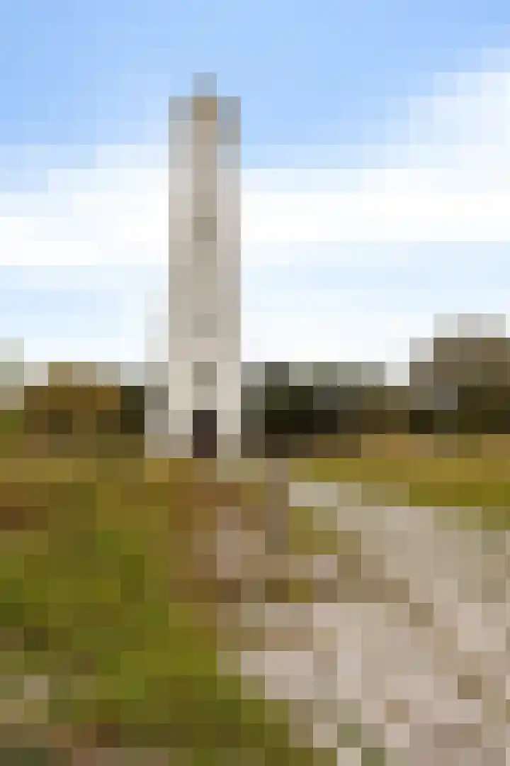 Rijspolder 60 Schiermonnikoog thumbnail 24