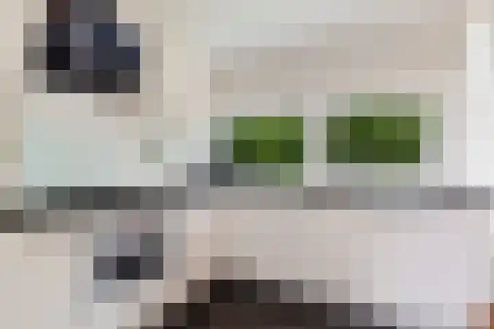 Rijspolder 60 Schiermonnikoog thumbnail 4