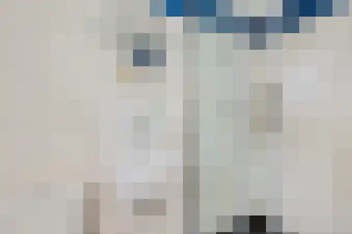 Rijspolder 60 Schiermonnikoog thumbnail 6