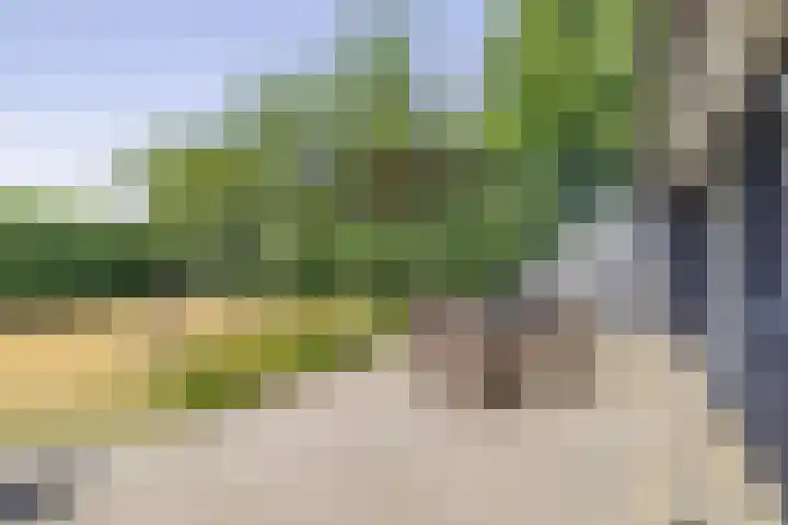 Rijspolder 80 Schiermonnikoog thumbnail 16
