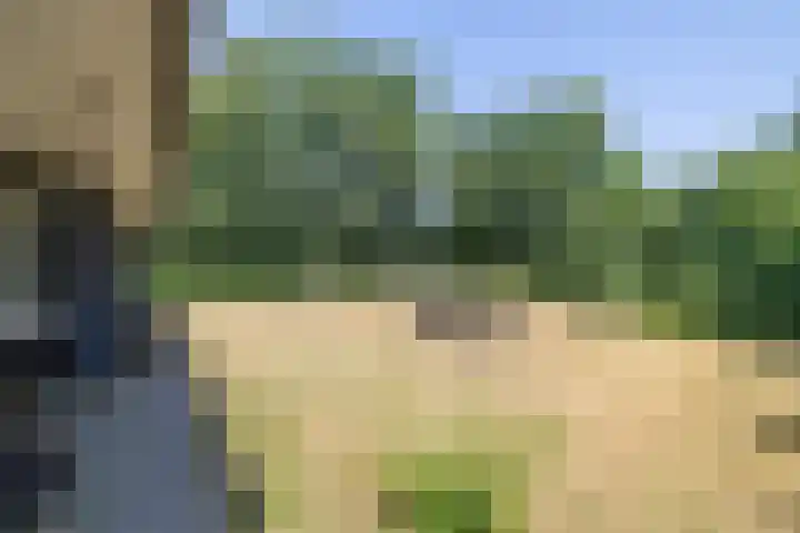 Rijspolder 80 Schiermonnikoog thumbnail 30