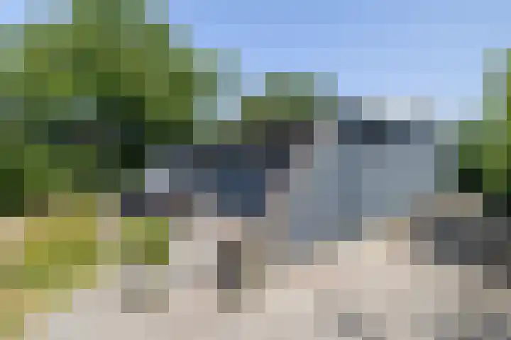 Rijspolder 80 Schiermonnikoog thumbnail 32