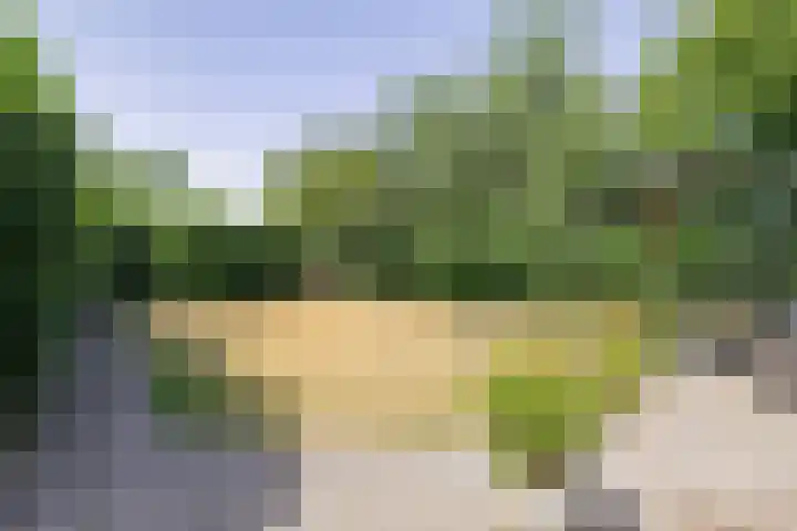 Rijspolder 80 Schiermonnikoog thumbnail 33