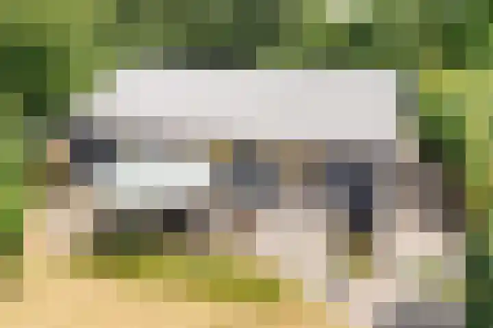 Rijspolder 80 Schiermonnikoog thumbnail 5