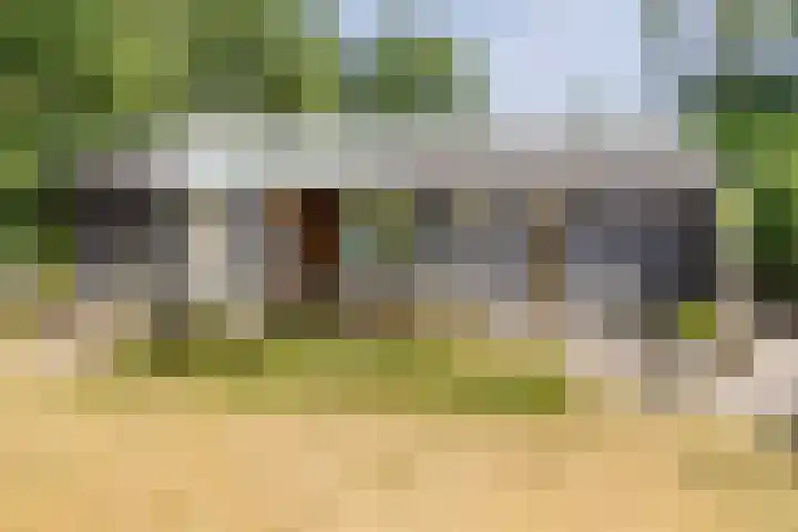 Rijspolder 80 Schiermonnikoog thumbnail 6