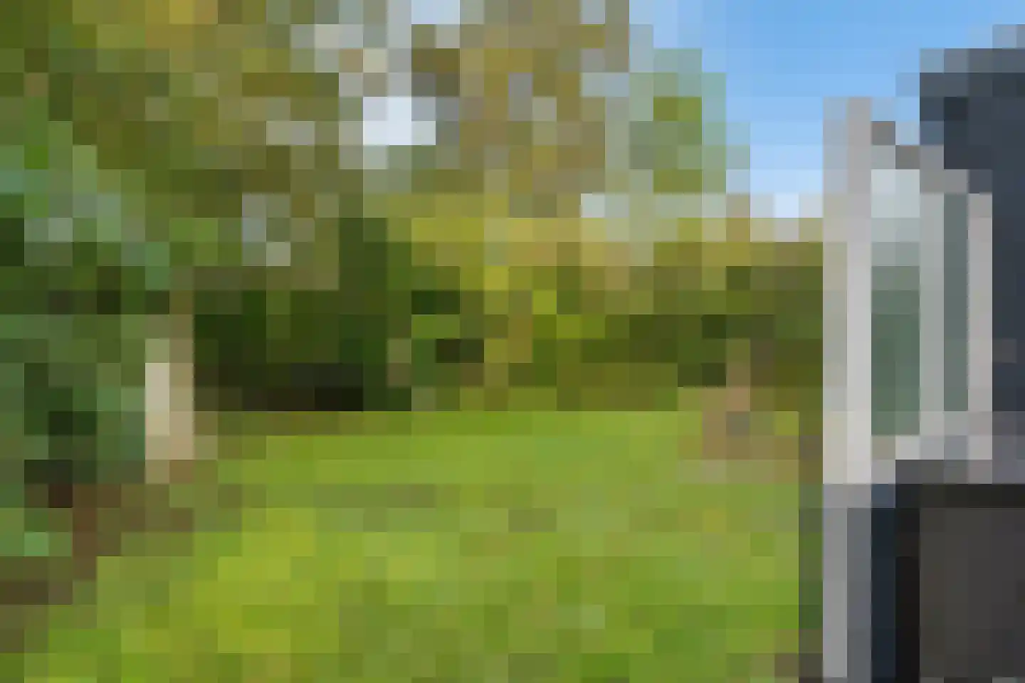 Rijspolder 94 Schiermonnikoog thumbnail 18