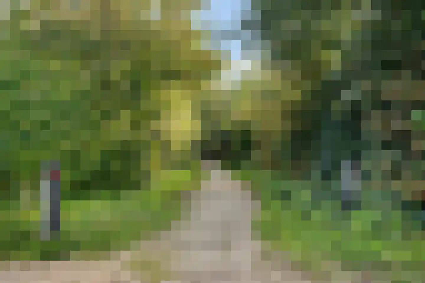 Rijspolder 94 Schiermonnikoog thumbnail 20