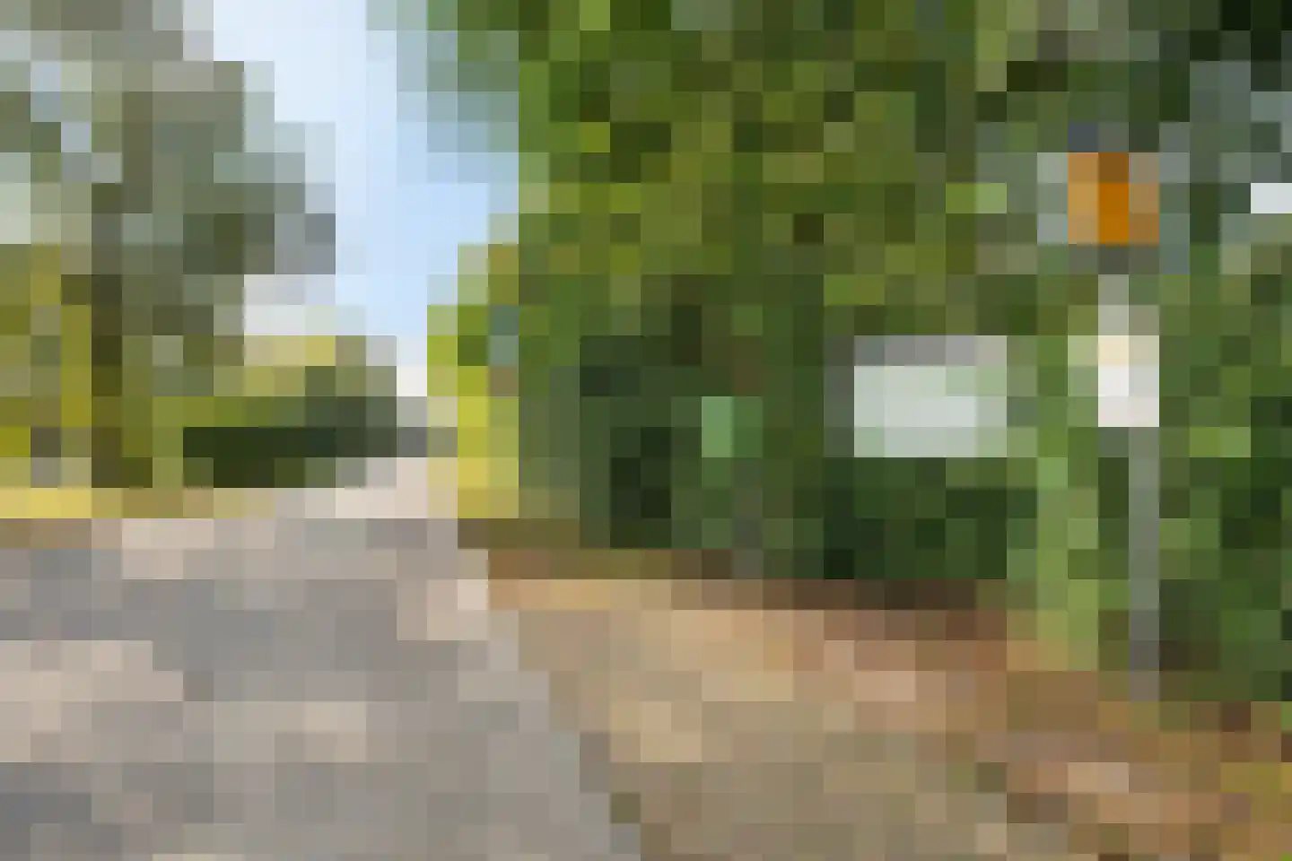 Rijspolder 94 Schiermonnikoog thumbnail 21