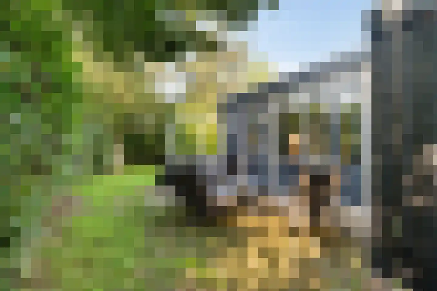 Rijspolder 94 Schiermonnikoog thumbnail 6
