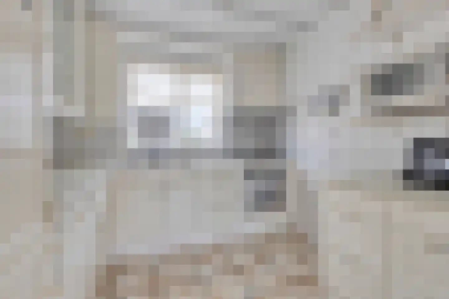 Rijsselbergen 59 Bergen op Zoom thumbnail 8