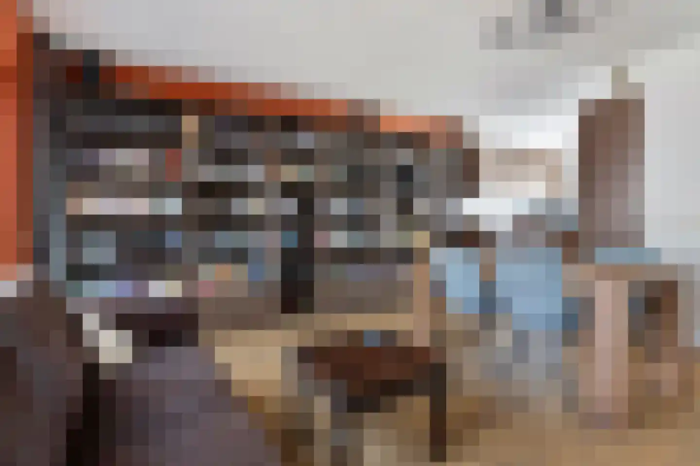 Rijsselbergen 73 Bergen op Zoom thumbnail 10