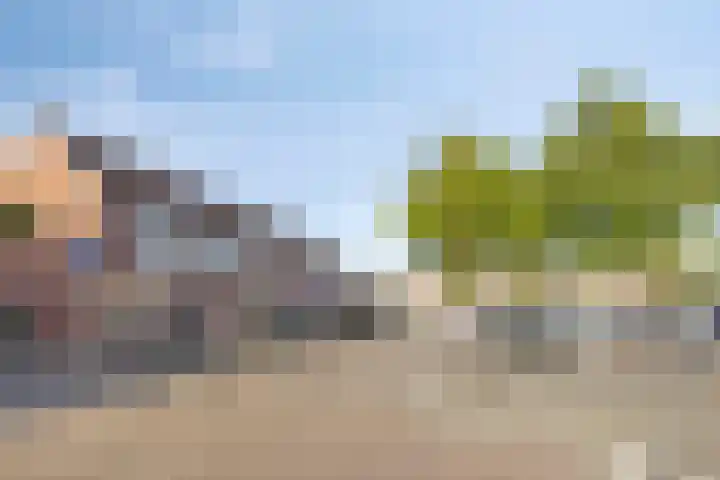 Rijsselbergen 86 Bergen op Zoom thumbnail 28