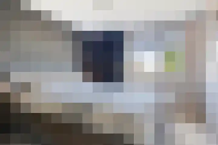 Rijsselbergen 86 Bergen op Zoom thumbnail 6