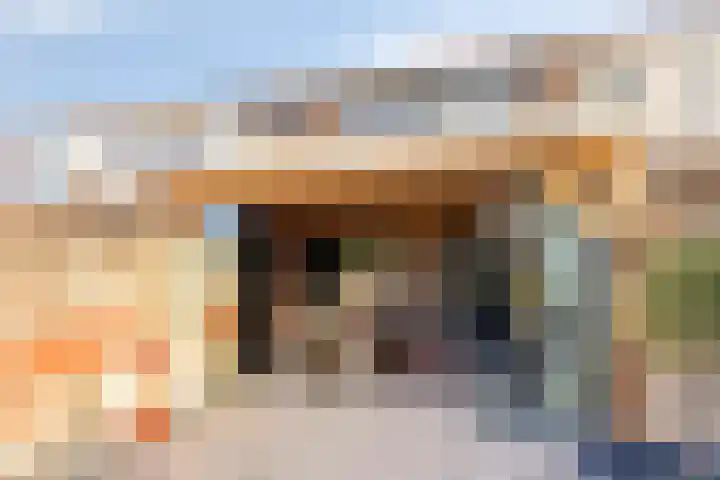 Rijsselbergen 86 Bergen op Zoom thumbnail 8