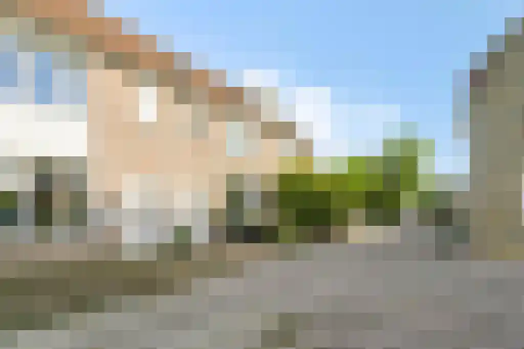 Rijsselbergen Bergen op Zoom