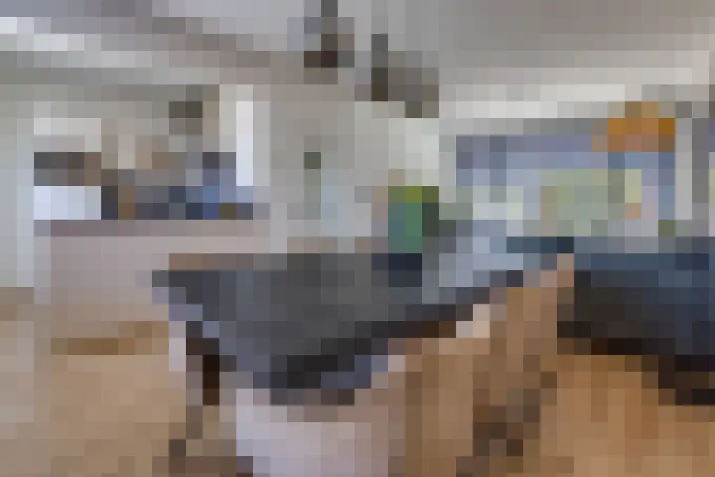 Rijssellaan 11 Stadskanaal thumbnail 12