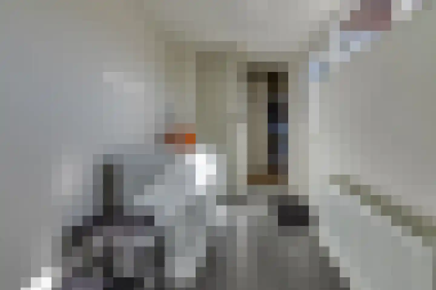 Rijssellaan 11 Stadskanaal thumbnail 16