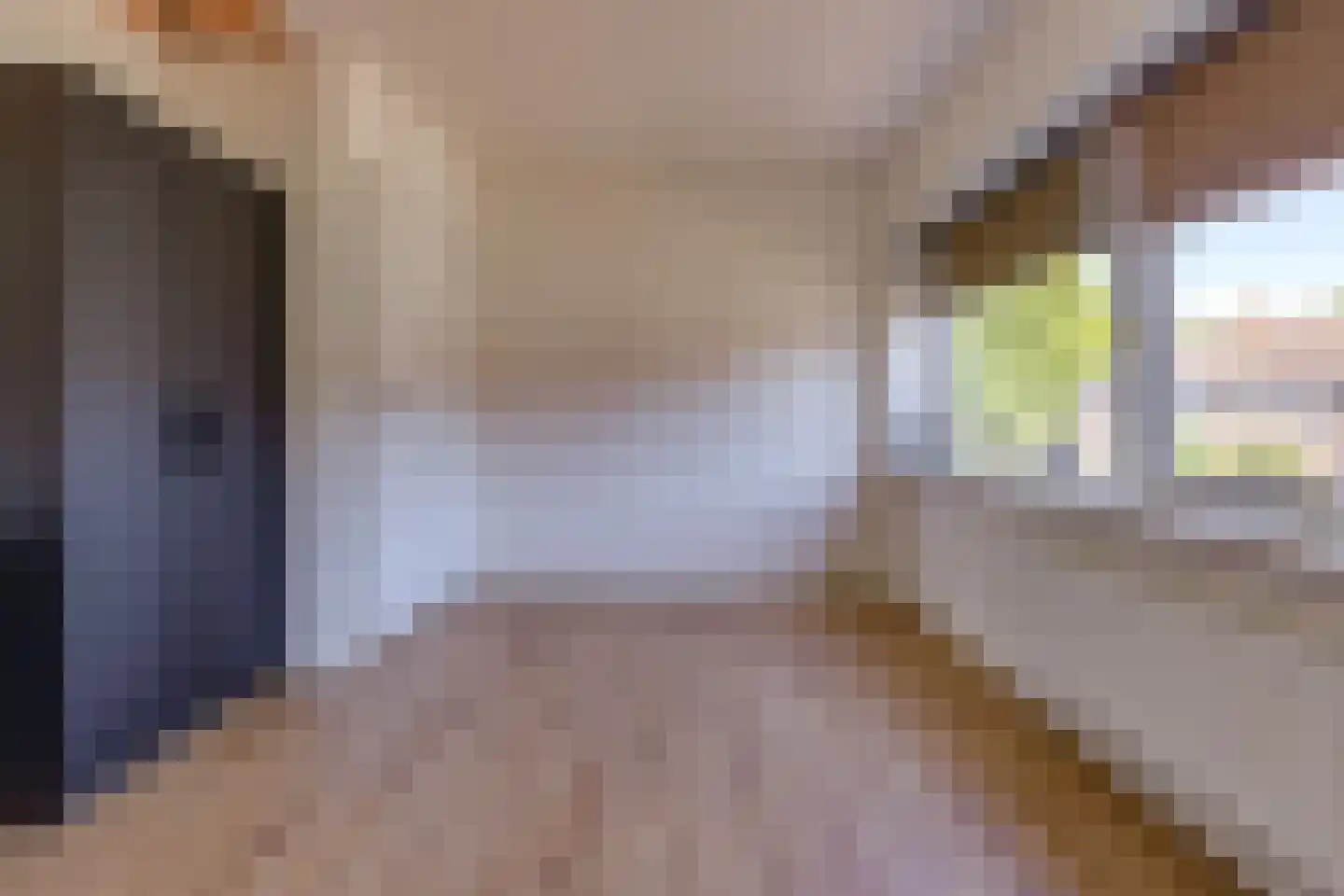 Rijssellaan 11 Stadskanaal thumbnail 30