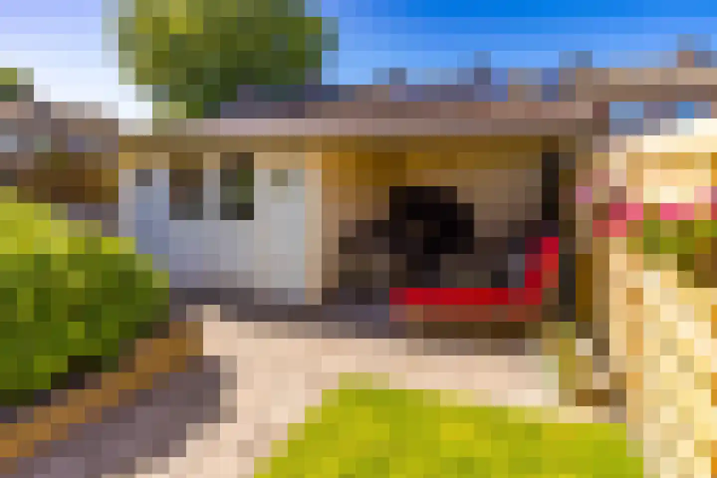 Rijssellaan 11 Stadskanaal thumbnail 31