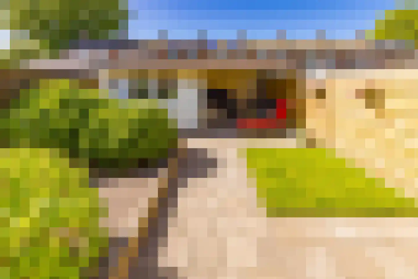Rijssellaan 11 Stadskanaal thumbnail 5