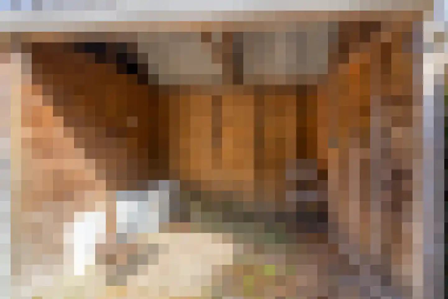 Rijssellaan 5 Stadskanaal thumbnail 36