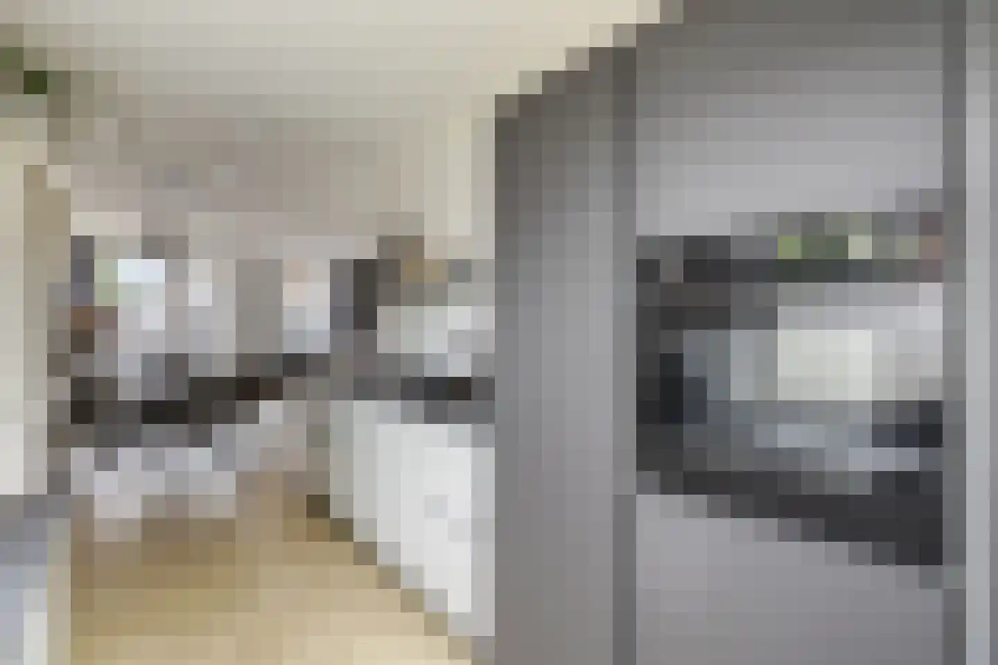 Rijssenbeeklaan 2 Gennep thumbnail 13