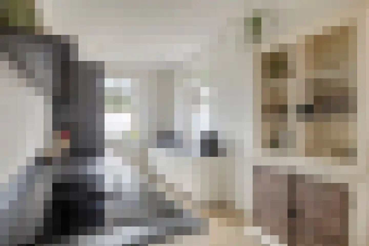 Rijssenbeeklaan 2 Gennep thumbnail 14