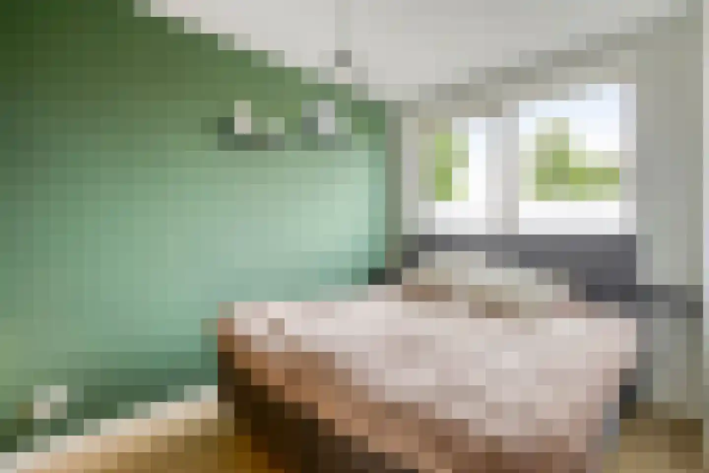 Rijssenbeeklaan 2 Gennep thumbnail 17