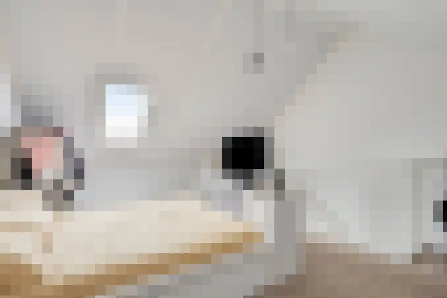 Rijssenbeeklaan 2 Gennep thumbnail 24