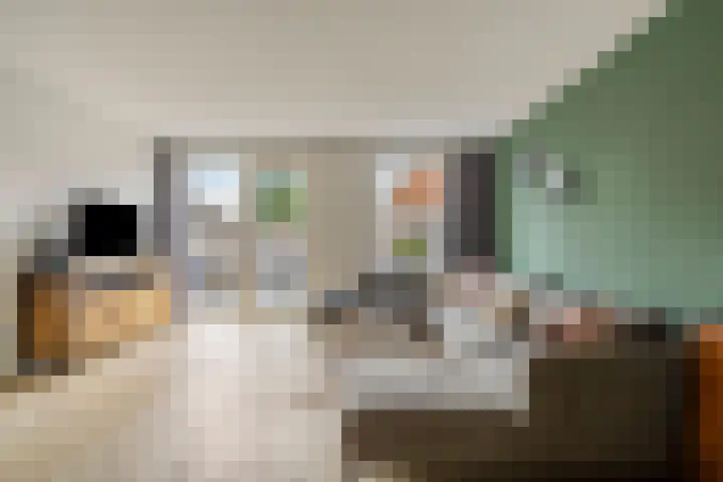 Rijssenbeeklaan 2 Gennep thumbnail 9