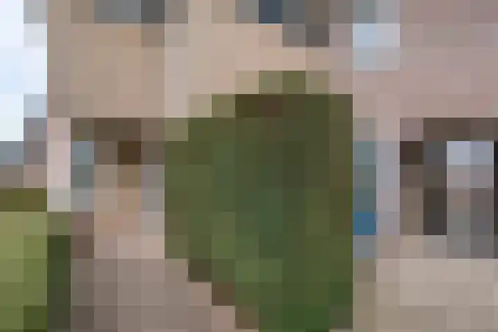Rijssensestraat 101 Nijverdal thumbnail 57
