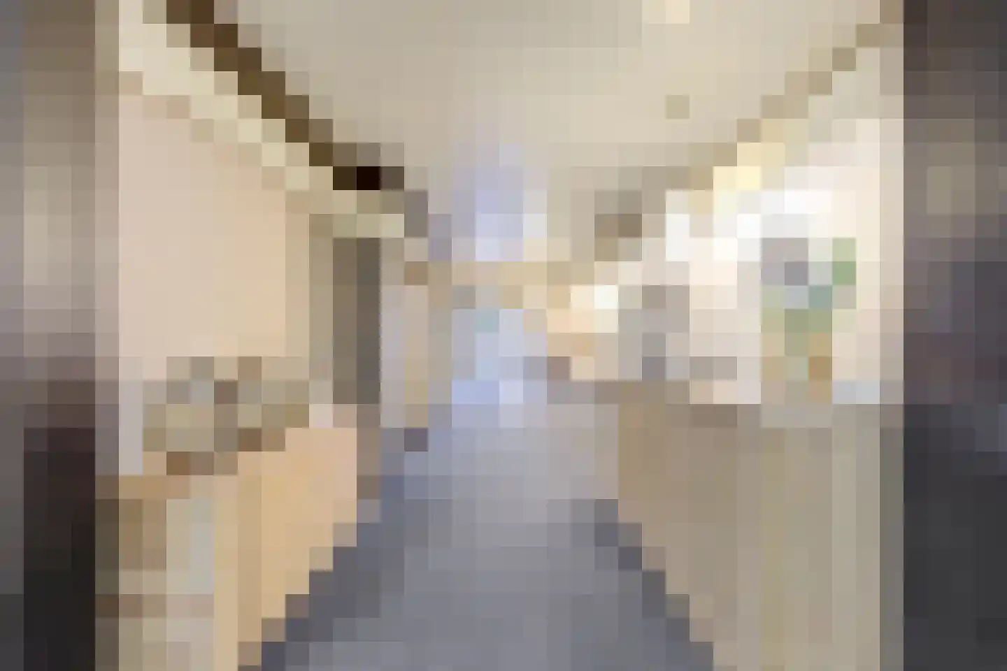 Rijssensestraat 13 Wierden thumbnail 14