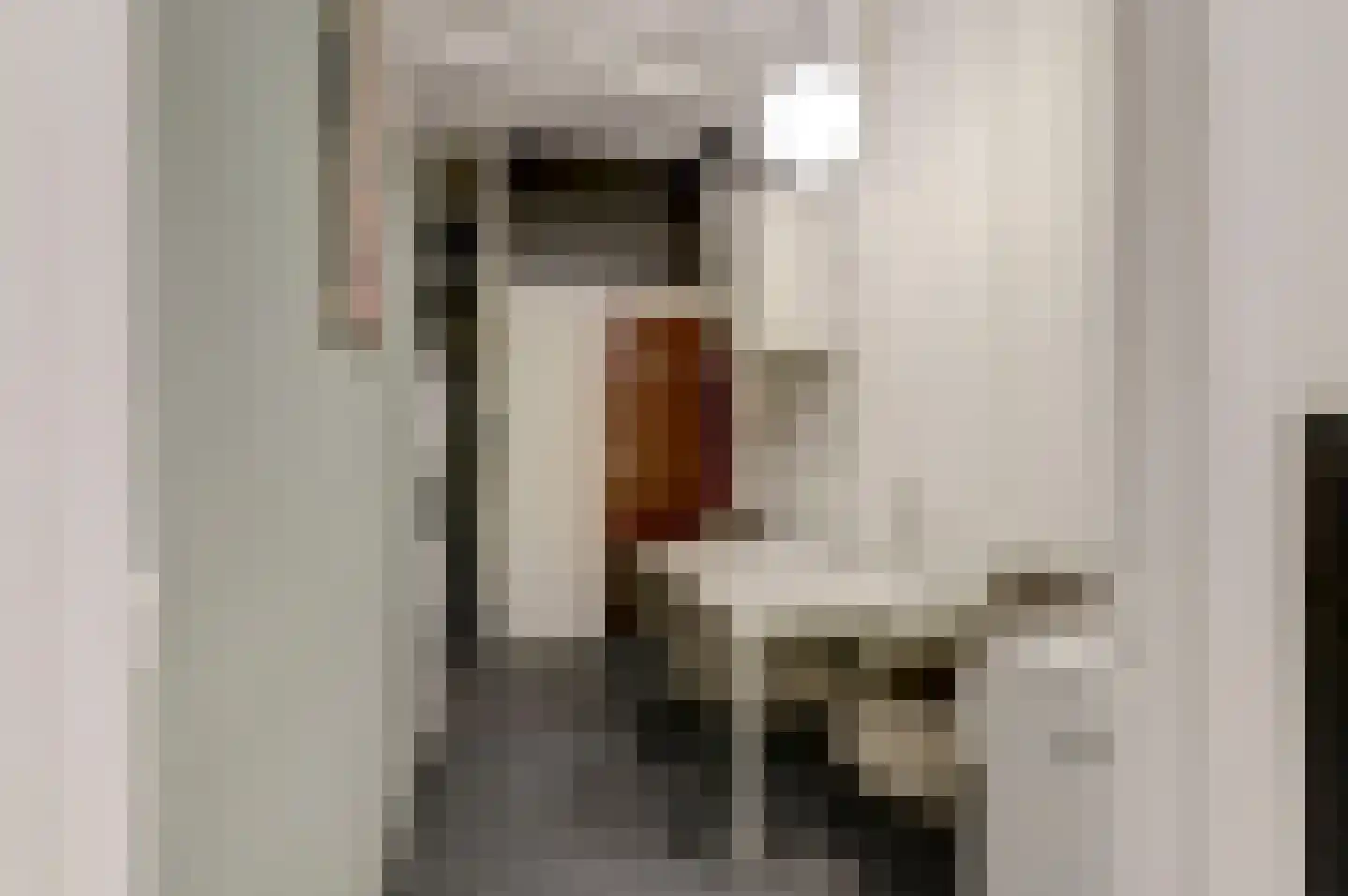 Rijssensestraat 13 Wierden thumbnail 17
