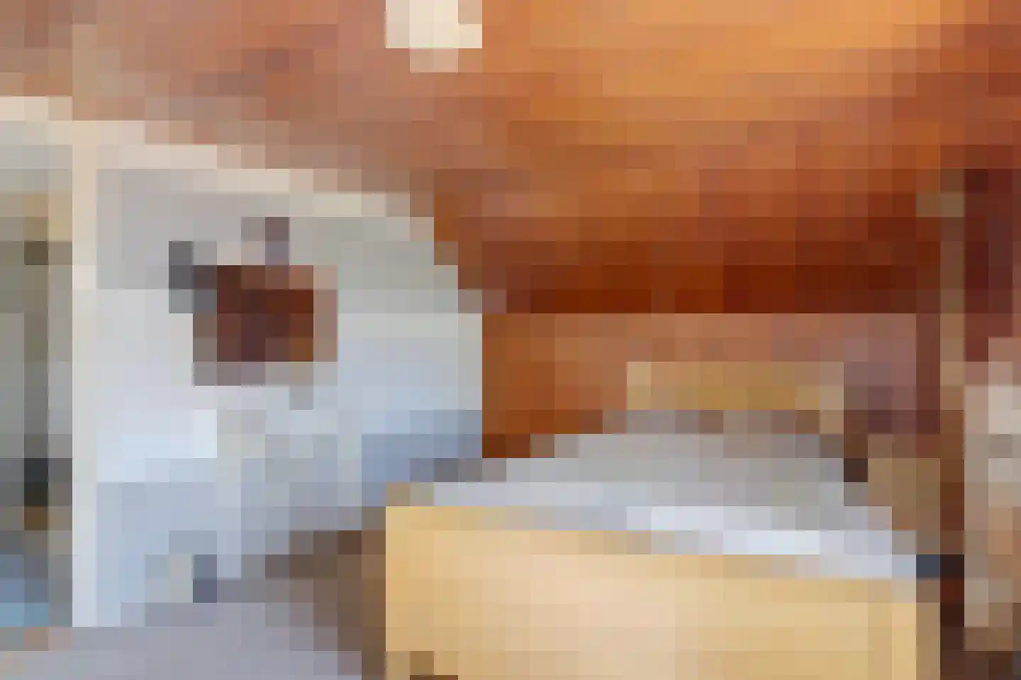Rijssensestraat 13 Wierden thumbnail 26