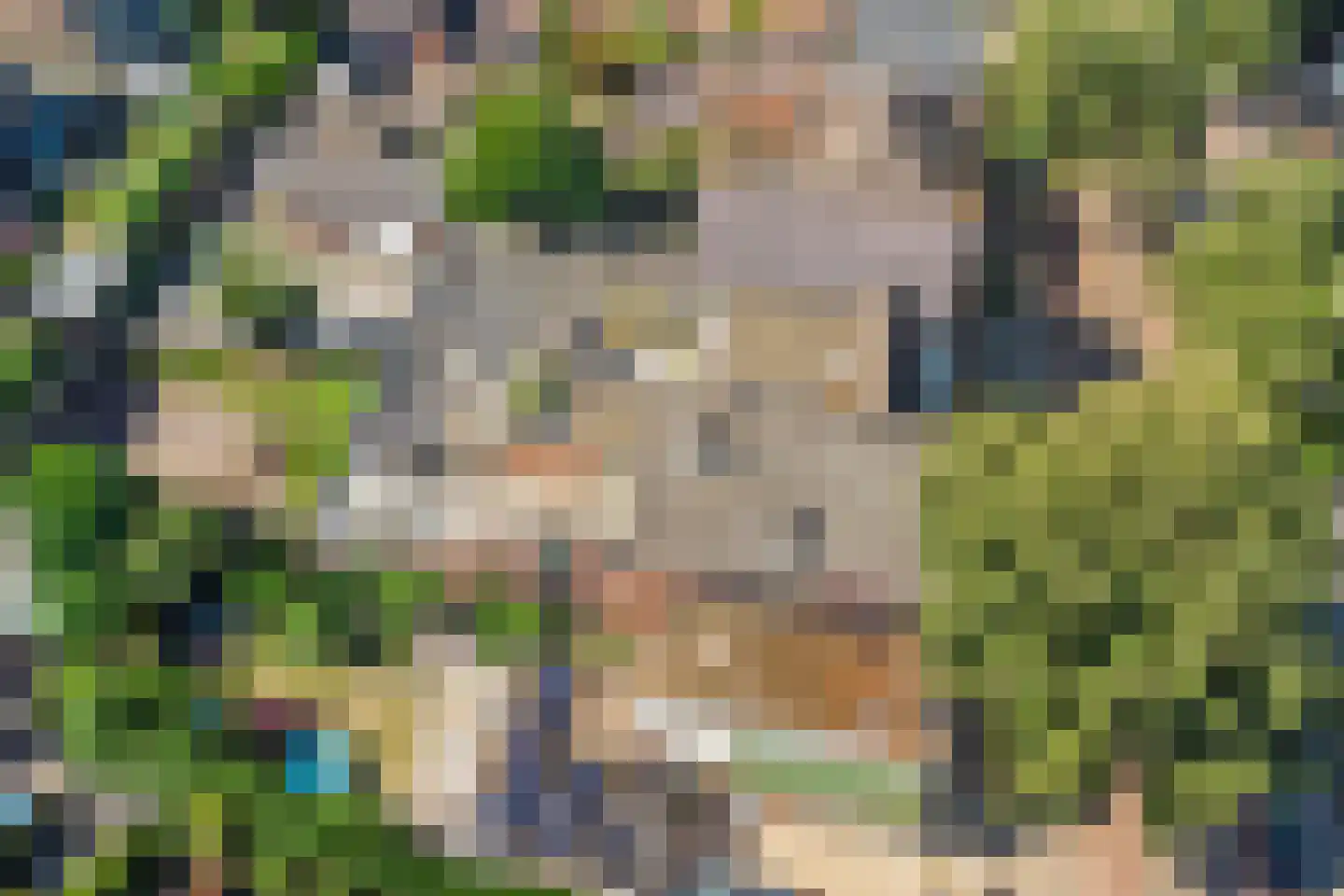 Rijssensestraat 13 Wierden thumbnail 38