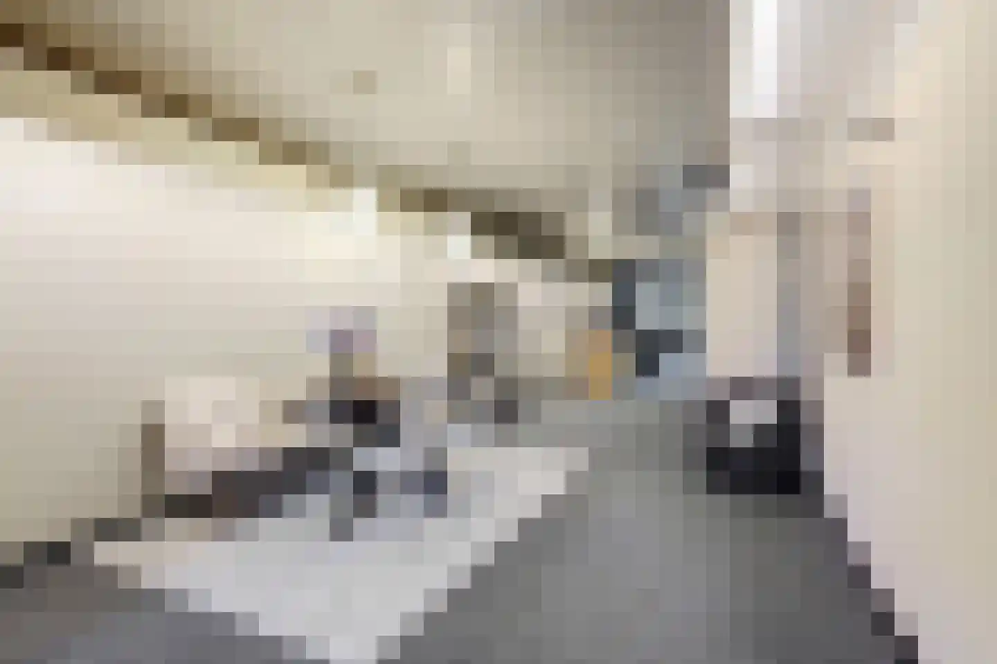 Rijssensestraat 13 Wierden thumbnail 7