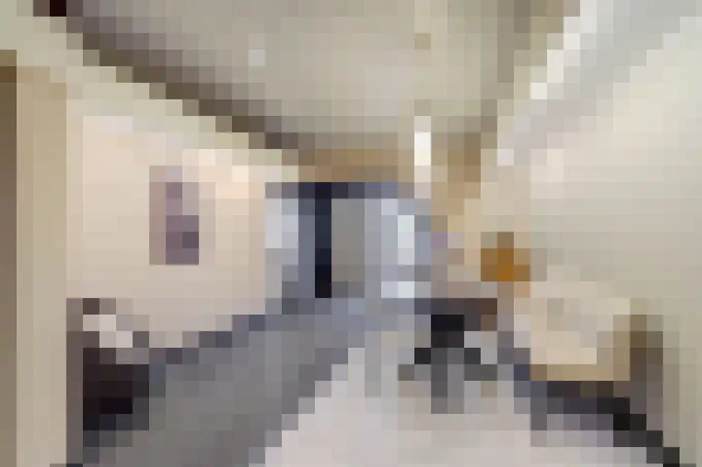 Rijssensestraat 13 Wierden thumbnail 8