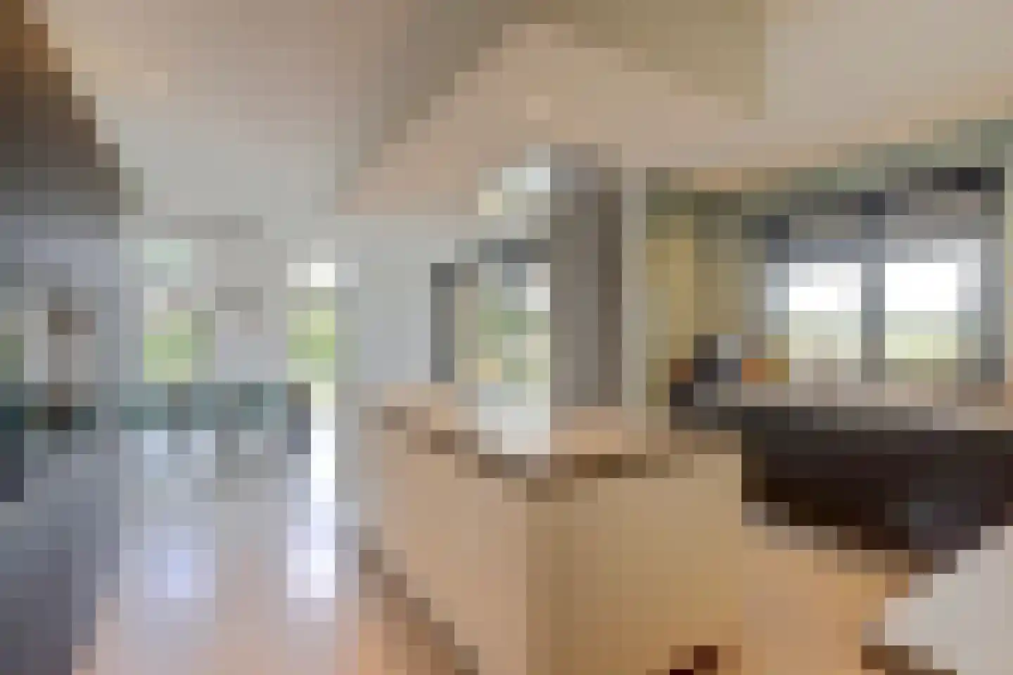 Rijssensestraat 130 Wierden thumbnail 16