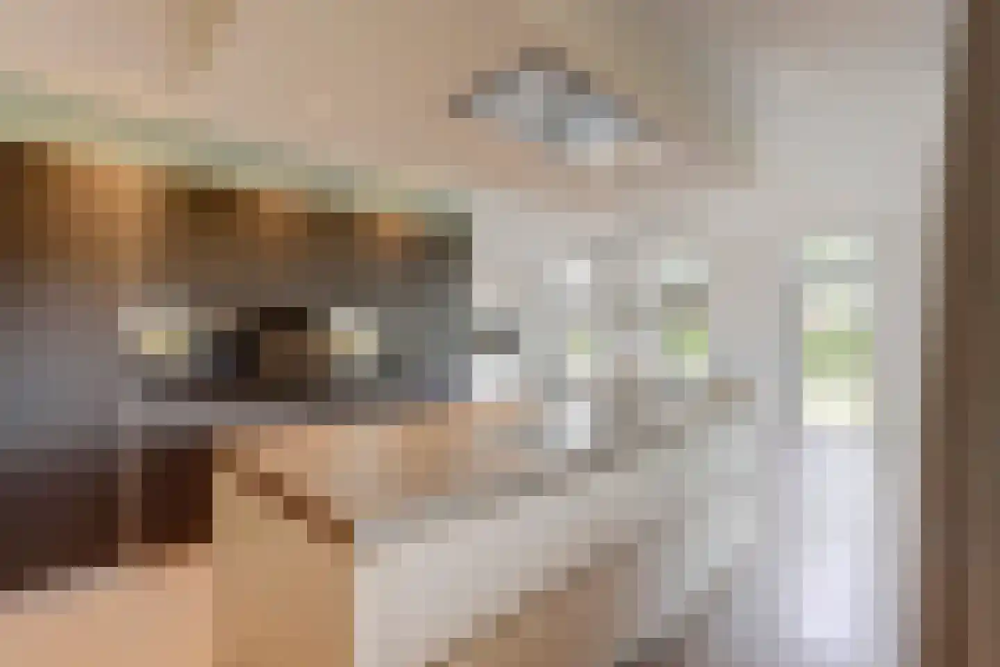 Rijssensestraat 130 Wierden thumbnail 17