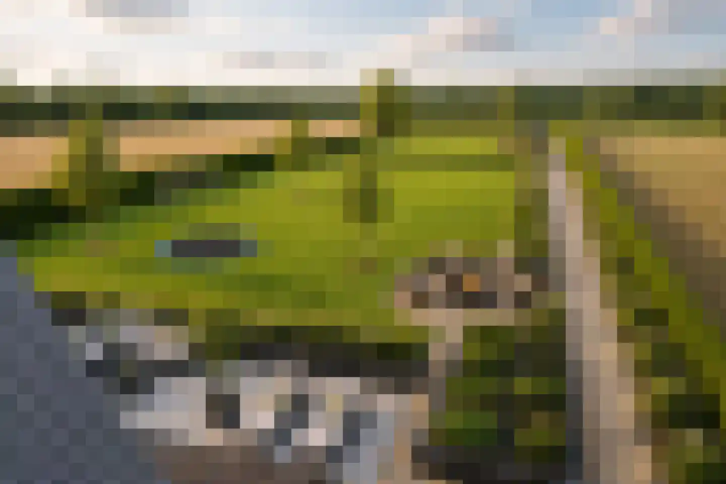 Rijssensestraat 130 Wierden thumbnail 38