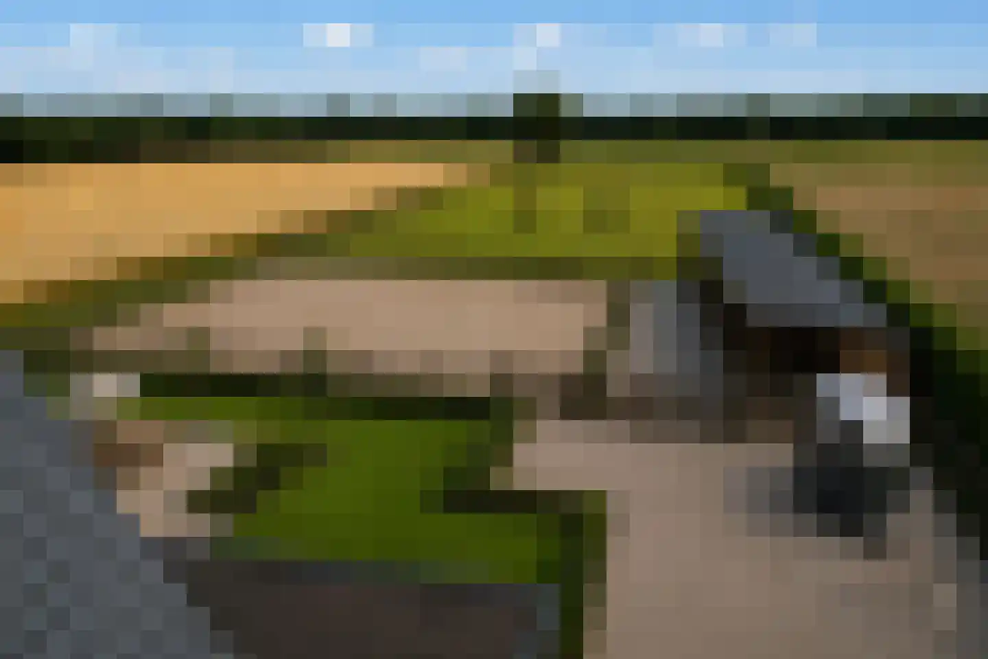 Rijssensestraat 130 Wierden thumbnail 4