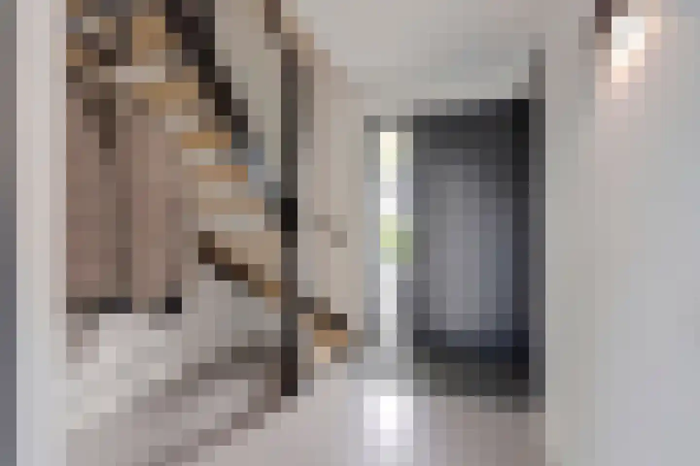 Rijssensestraat 130 Wierden thumbnail 5