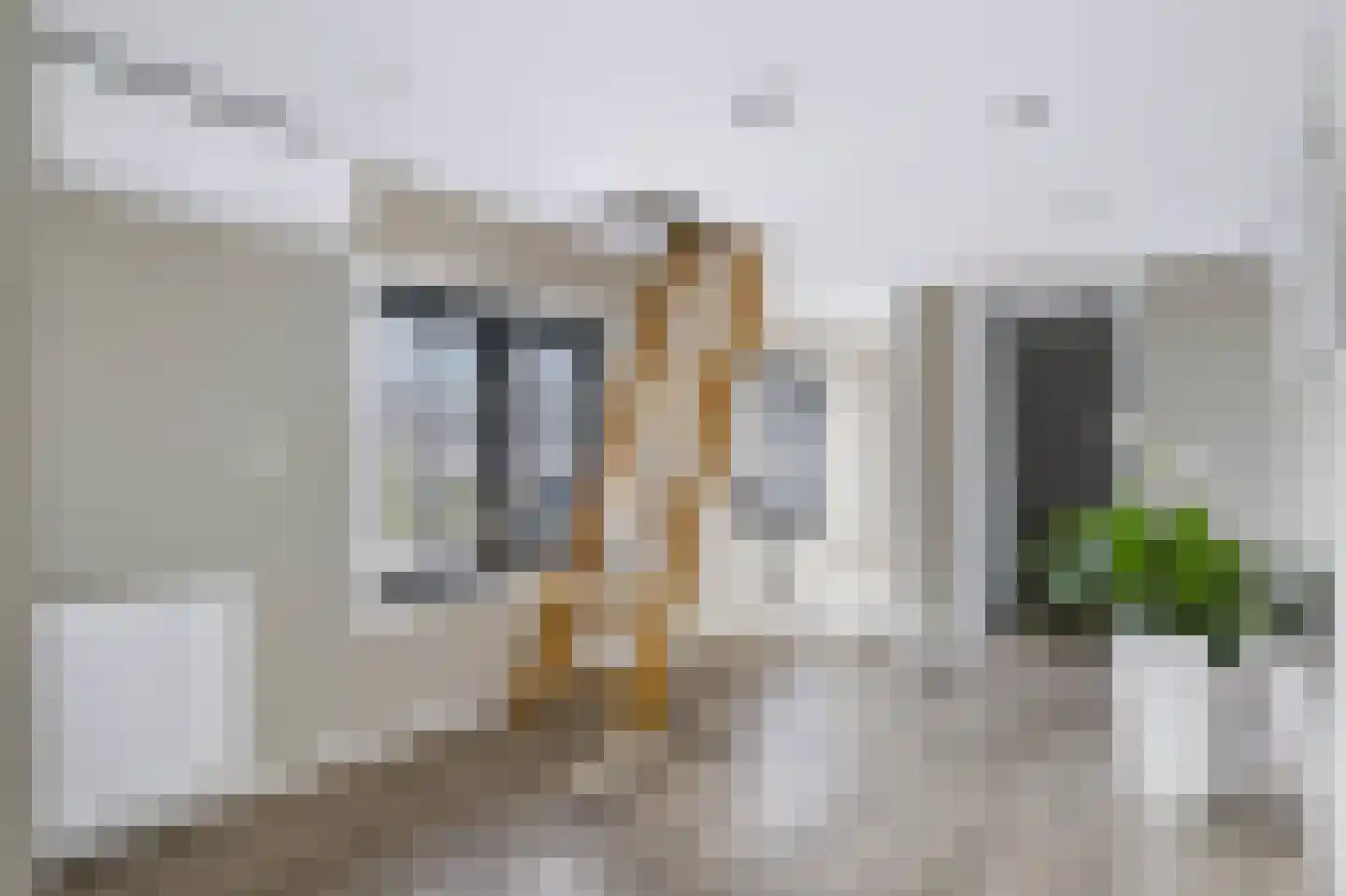 Rijssensestraat 161 Nijverdal thumbnail 38